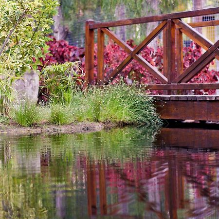 Park Club Europe Hotel Плая де лас Америкас Екстериор снимка